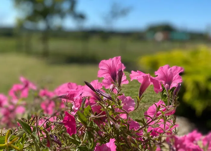Kasprowa Dolina בית הארחה יארוסלאביש